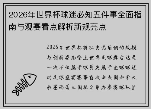 2026年世界杯球迷必知五件事全面指南与观赛看点解析新规亮点